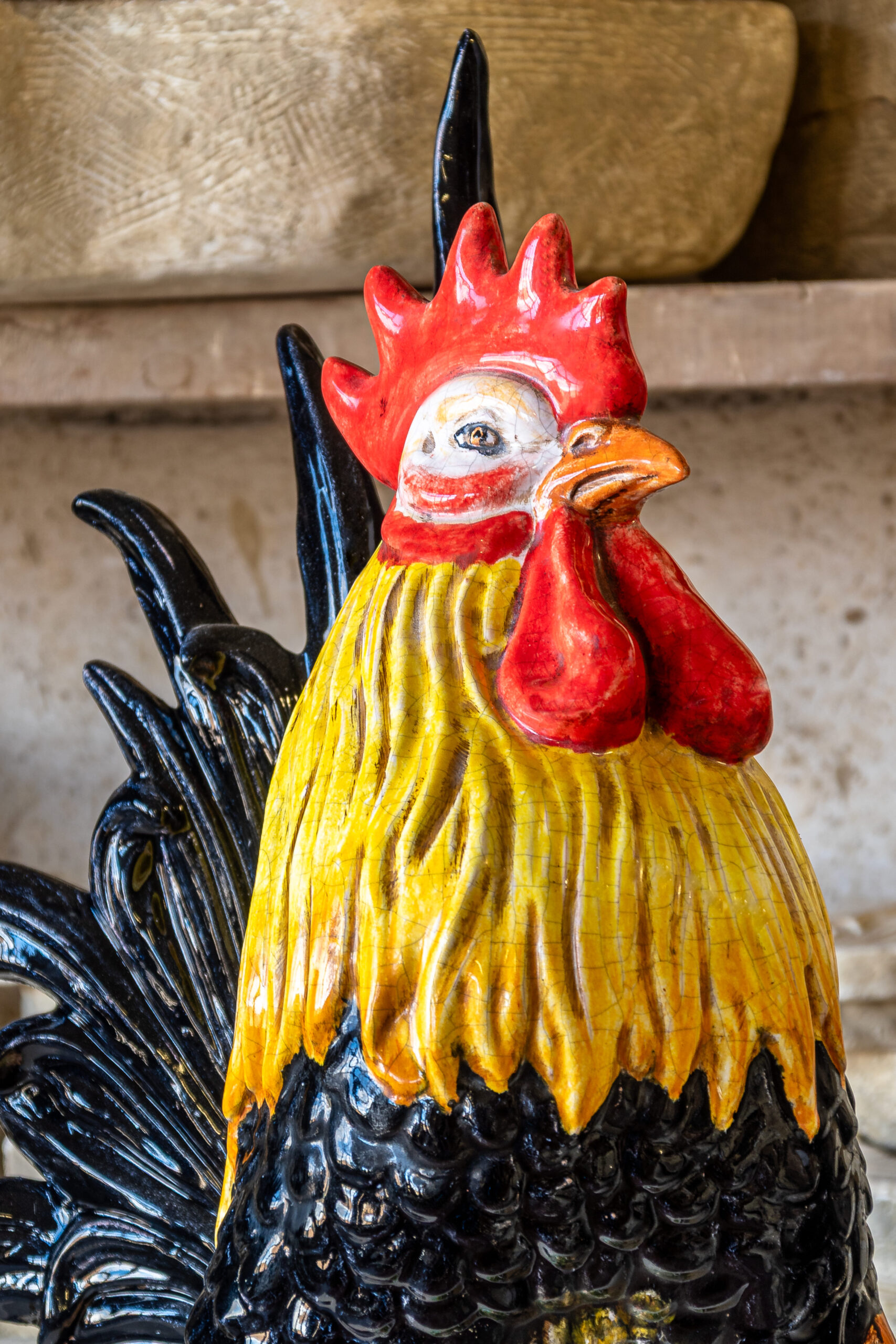 Gallo in piedi grande
